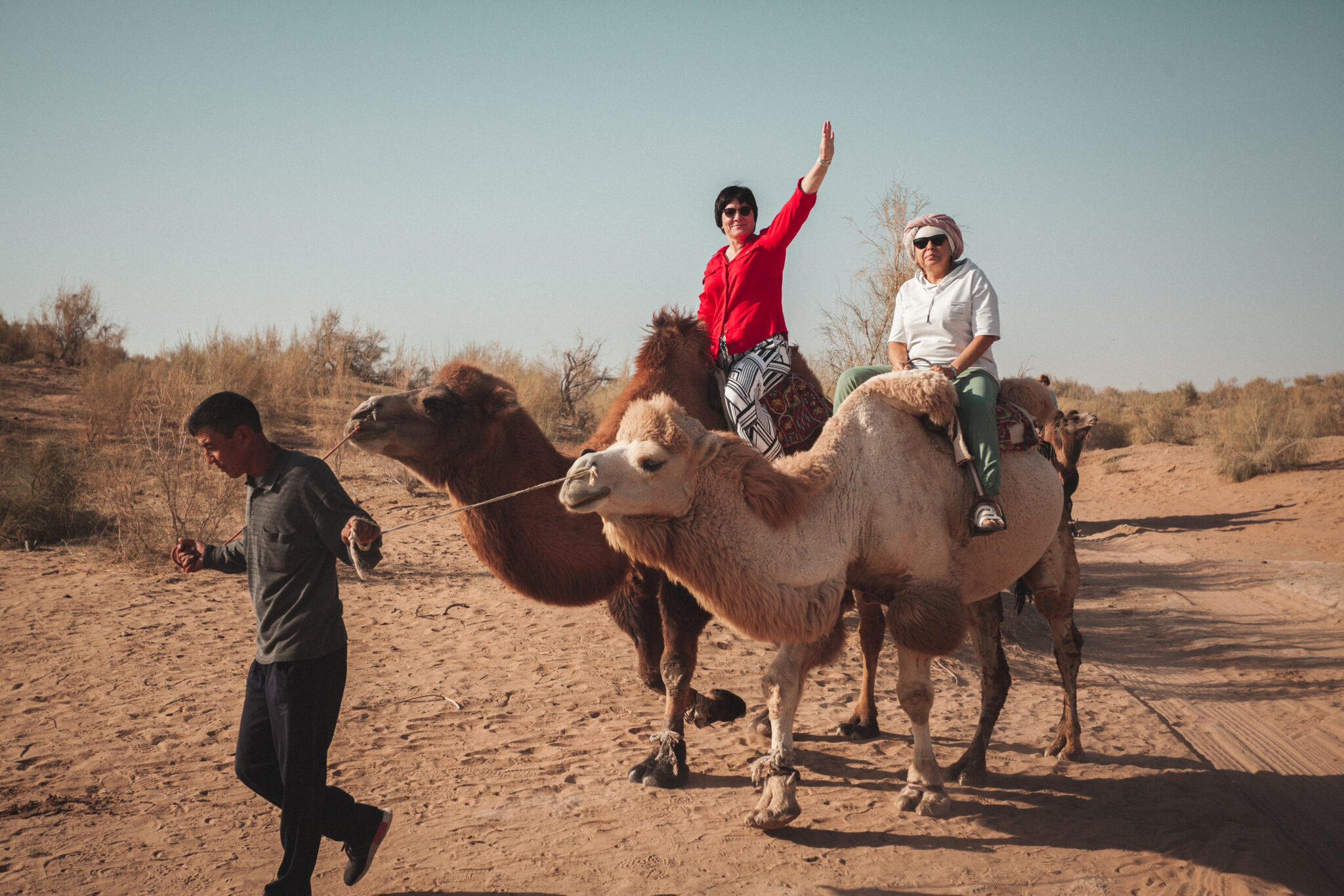The ancient and medieval cultural treasures of Turkmenistan and Uzbekistan.